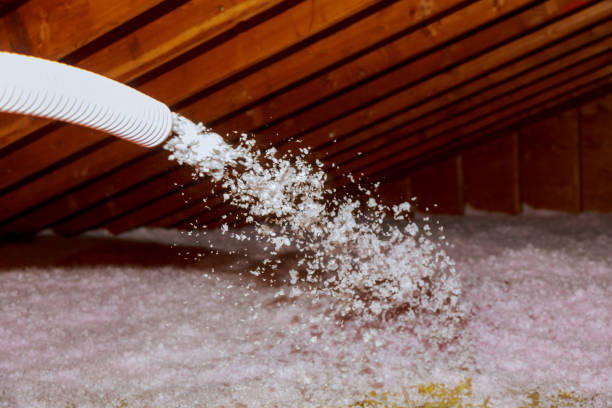 Best Insulation for Specific Applications in Strawberry Plains, TN