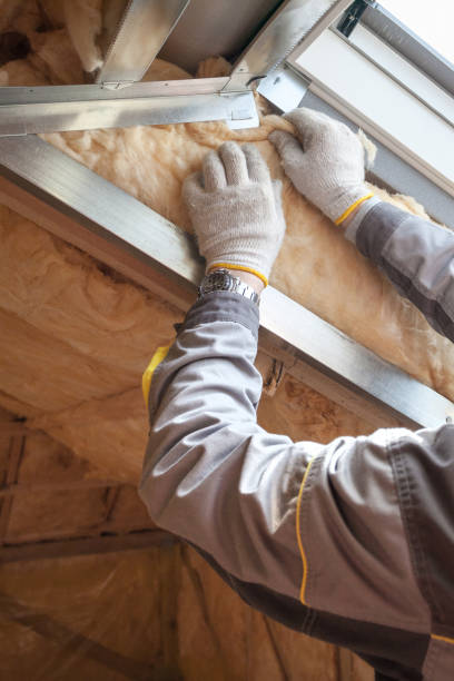 Best Insulation Maintenance and Repair in Strawberry Plains, TN