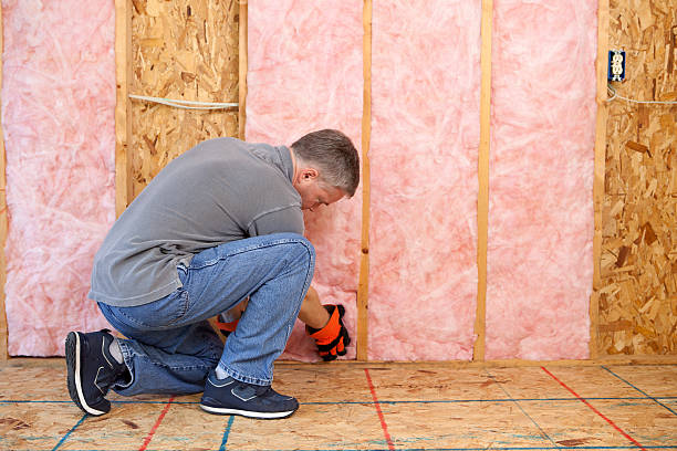 Best Commercial Insulation in Strawberry Plains, TN