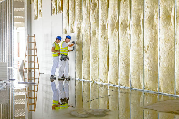 Best Residential Insulation in Strawberry Plains, TN